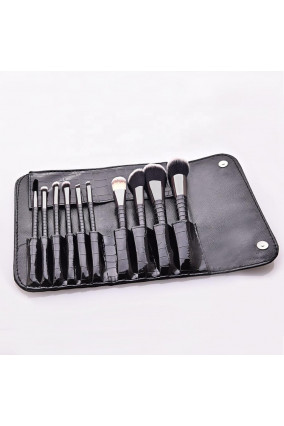 Set of 10 professional brushes with storage case