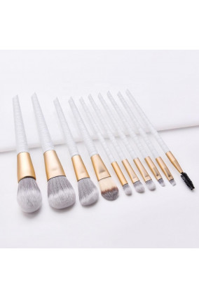 Set of 10 professional brushes with storage case