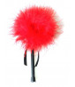 Small red feather duster