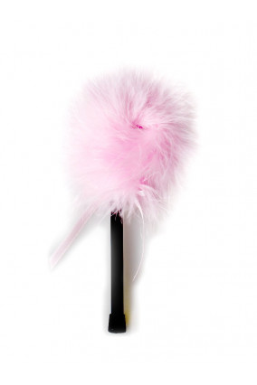 Small pink feather duster