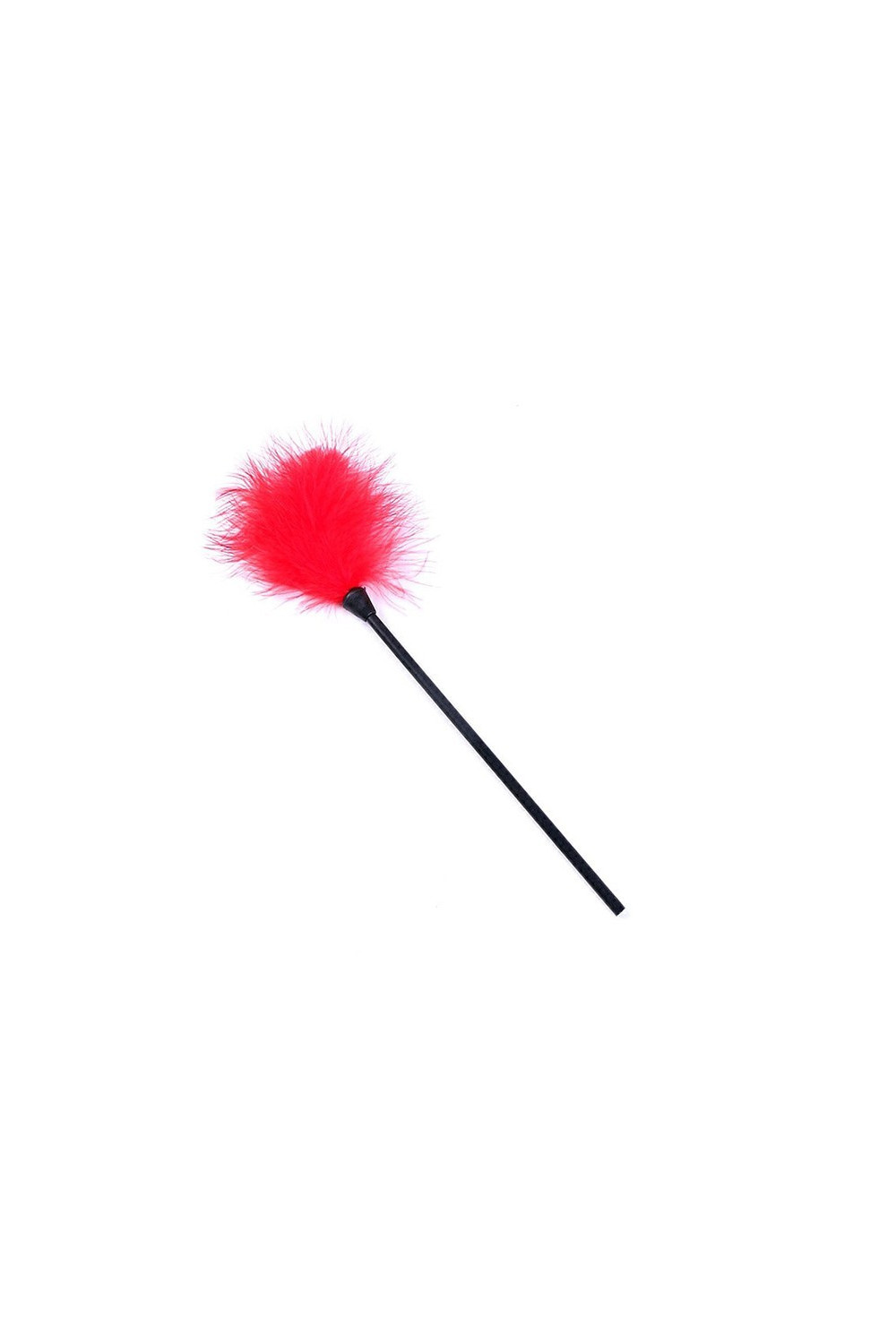 Red feather duster