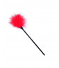 Red feather duster