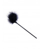 Black feather duster