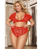 Red lace high waisted panties and crop top set