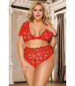 Red lace high waisted panties and crop top set