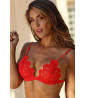 Red lace sexy bra